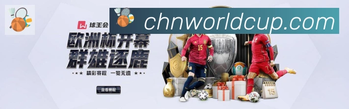 奖项4